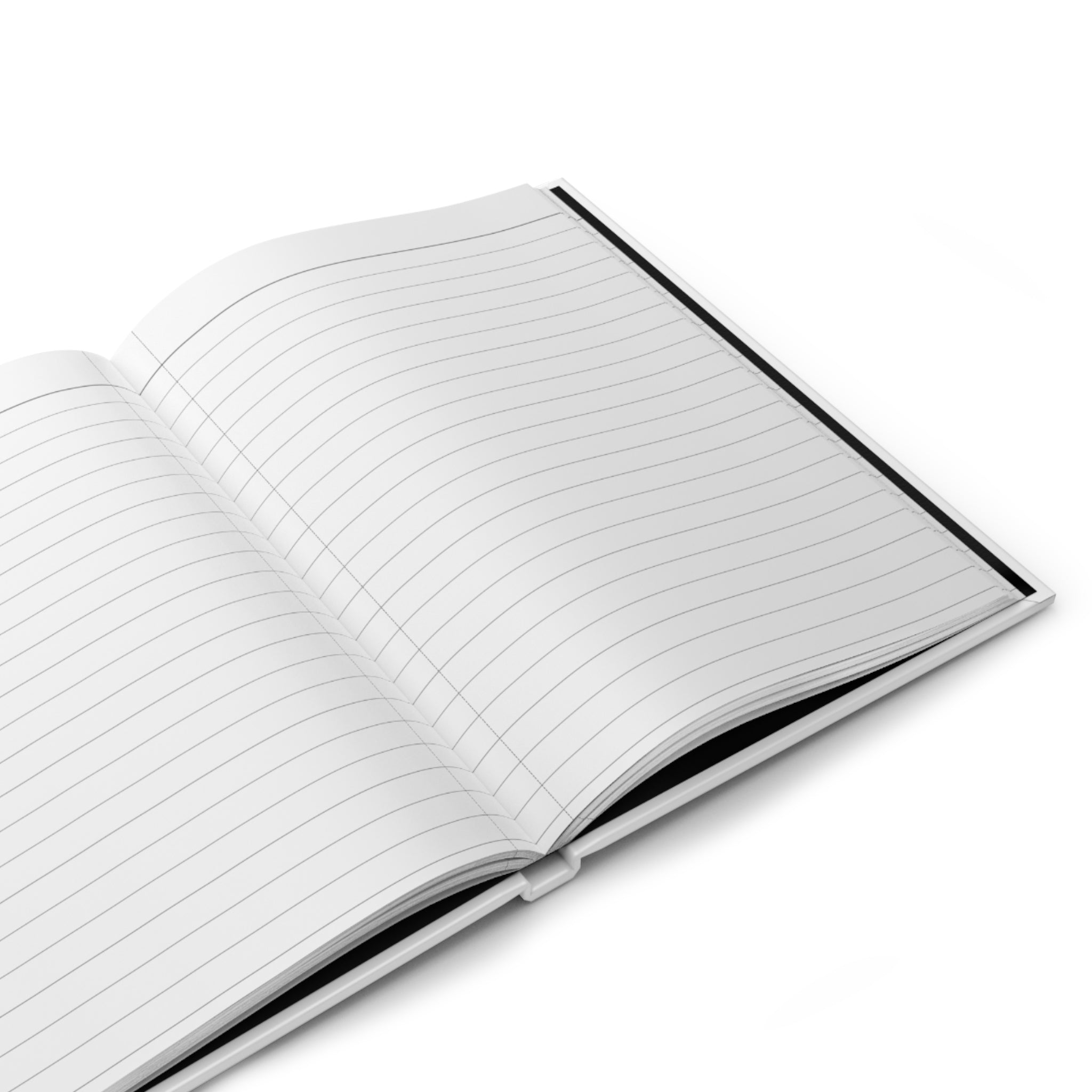 Sobriety Did That. Journal